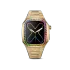 Apple Watch Case / EVF41 - RAINBOW Frosted Gold