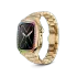 Apple Watch Case / EVF41 - RAINBOW Frosted Gold